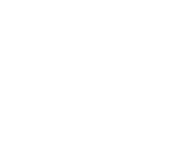 Health Computer Icon