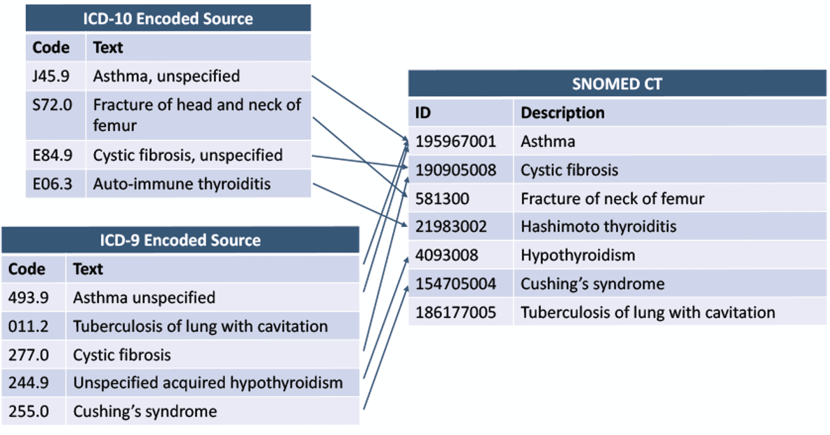 Clinical Terminology Mapping