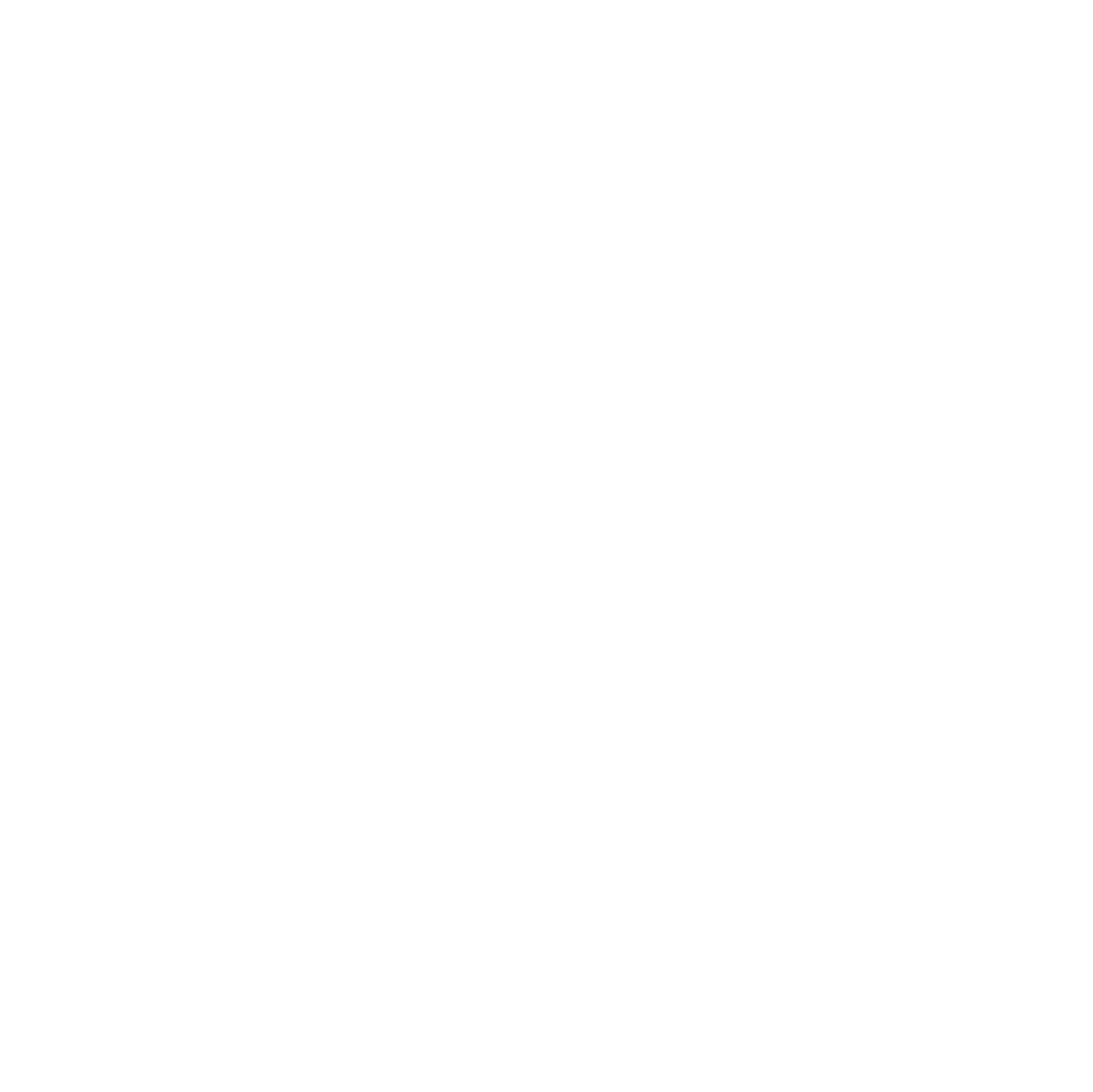 White LinkedIn Logo