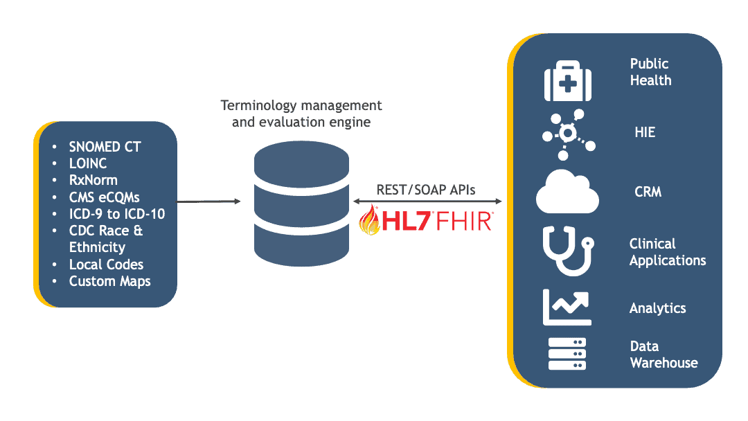 Terminology Management and Evaluation Engine