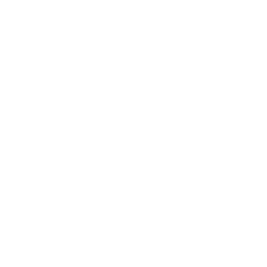 White Twitter Logo